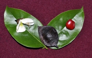 ���Ԫ���Wҫ��ҕԪ�������