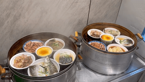 �㇊��������˵ġ���������~