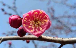 �������p÷��(ji��)������Ԋ(sh��)�鮋��Ĵ��շՇ�