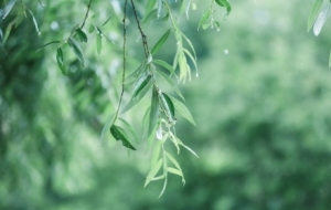 ������ˮ��δ��(l��i)��������