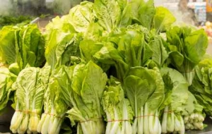 ȫ��24�ң���ȥ�I�I�I