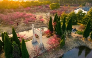 ף��÷�����츰һ������ʢ��