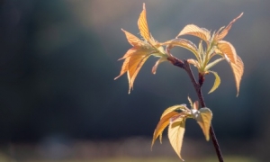 29��K9�棡��ꎚ�����ϡ��^ɽ܇��