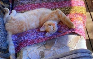 �Ҹ�СԺ��؈؈�����������ݣ��^����ƽ��������