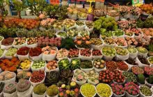 ���������ϻ������˳�ӿ��������̼t�����