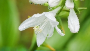 ​����+����+���L���������ס��������u��