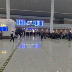 ��ȥ�˲�֪��С�ǵĺã���ꎸ��Fվ�l��������������