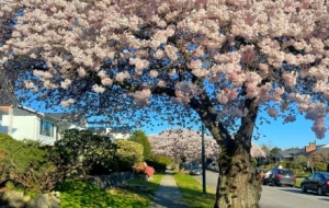 �S�ģ�����N�����ÿ�ö���M�����C�c����