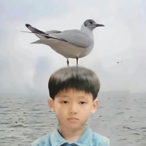 �W������Ҫ�p��������ꎵĸ�����ʲô��Ϣô