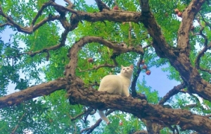 �ɞ�һ�Ø䣺�o���r�⣡�������L