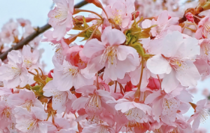 �e�^��һ�꣡���������ʢ�_