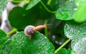 ֱ�_21�棡��ˮ�R�ϵ����