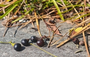 ���_ʼ�ˣ���ꎽ��^�������F