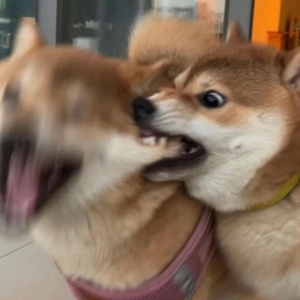 �ջ�С�^(q��)��ҹ����ζ���ˣ��ڼ��_�錢�^�ó���܇��Ҳ�]�˹ܣ����϶��o��ͣ܇��