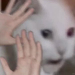 �F(xi��n)��·߅�[�����Ǟ��˰l(f��)ؔ(c��i)������Ҋ10�Kֱ�Ӱ��������ˣ�����Ҳ�������K