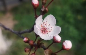 �����Ϣ�u�⣡�Sɽ��÷�������_��