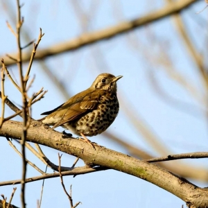 ����״ΰl�F�����d����