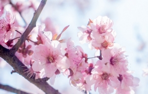 Ո�պã���������һ��A��