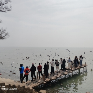 �t���t�w����������Ȼ֮��