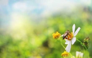 ���Q��ʽ�����؁��ˣ���ꎚ�،�һ·����