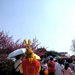 ȥ��ɽ��ļ��L��С�����У��Ђ��O�����С����Ӱ������ֱ��׌��ߴa���X