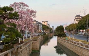 �K���p���m�������{(l��n)�죡�(y��ng)����ѩ��(f��)����