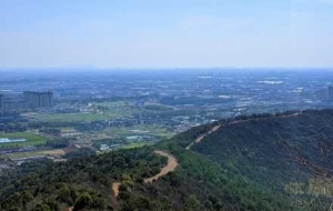 ��ɽ���½�ꎣ���̎�L(f��ng)��o(w��)�� һ�[�o(w��)��