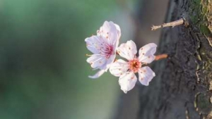 ����17�r1�֣������ʽ�M(j��n)�롰���֡�