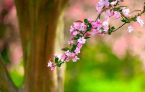 ��Ҫ�ڴ����һ�˽�ꎰɣ�