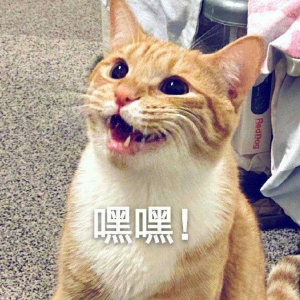 ��ϲ�g����ϴ܇�����������^���q�rҲ���� �������Լ�����ôϴ����ôϴ