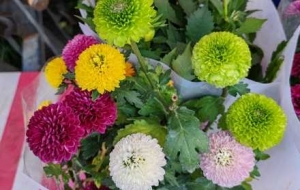 �K����ѩ�����棺�s��������ѣ�̤���p��