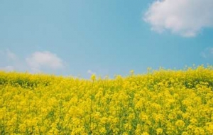 ����������Ͼ������m......