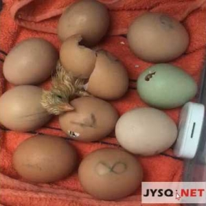 ���^20��ĵȴ���С�u�K�����ڴ��г�������