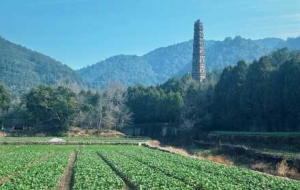 �S���S�ć����£�ǧ��ńx���o�k�c������