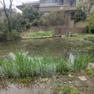 Ԓ�����f���ψD��ꎡ�����С�^�����L�����H���@