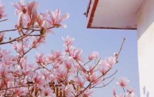 �����������@���Ǵ�������_���_��ʽ