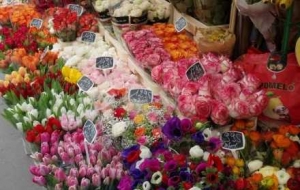 ��������ۣ��f(shu��)�߾��ߵĞt������