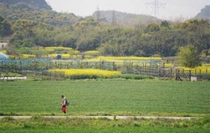 �Ŀ�����Ͳ˻��`�ţ���ɫ����䁝M�l(xi��ng)�g��Ұ