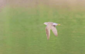 ��С�S�_�����ٴ����L���