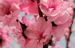 ����ɫ����^�p�ڣ��Ҽt���G ���ⰻȻ