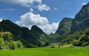 ������@�����ƽ���䌍���h�x���׼��_