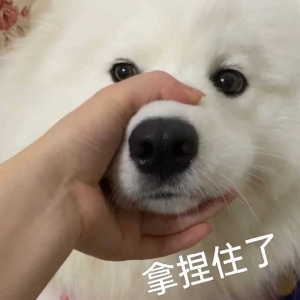 ����ȼ��̫�Ե����W(w��ng)ُ���z�z�鲻�ϸ�Ҫͣ�⣬��ܺ��Լ���ȼ���|(zh��)����Ӌ���ͺ�������ɶ ...