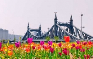 ���������`�����k������ͤͤ����