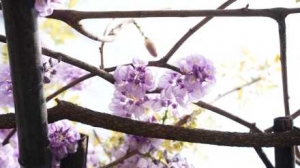 �ف��򿨣����ٻ��ٲ��Ǵ��ա������