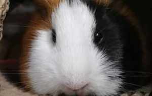 ����ҵ������i�����շݿɐ�Ո����