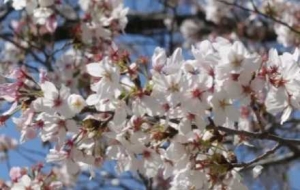 ���e�R�Ö|�L�棡�f��ǧ�t���Ǵ�