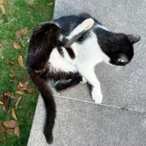 ����M�M�Ȼ��ˣ��ߵ��Ķ���؈؈�N�N