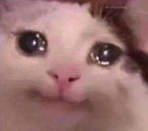 ���Ͽ�Ҋһ���ЌW���֠��������ɵ������ЌW�r�����Լ���Ҳ�ǿ����˼��֠���