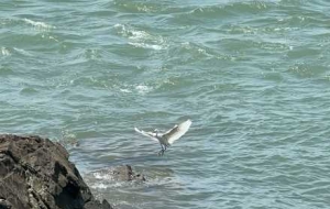 ������ˮ�G���{���������ĳ�����С��