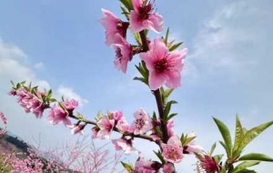 ���s���£��һ��`�ŝM�@�����������箋(hu��)